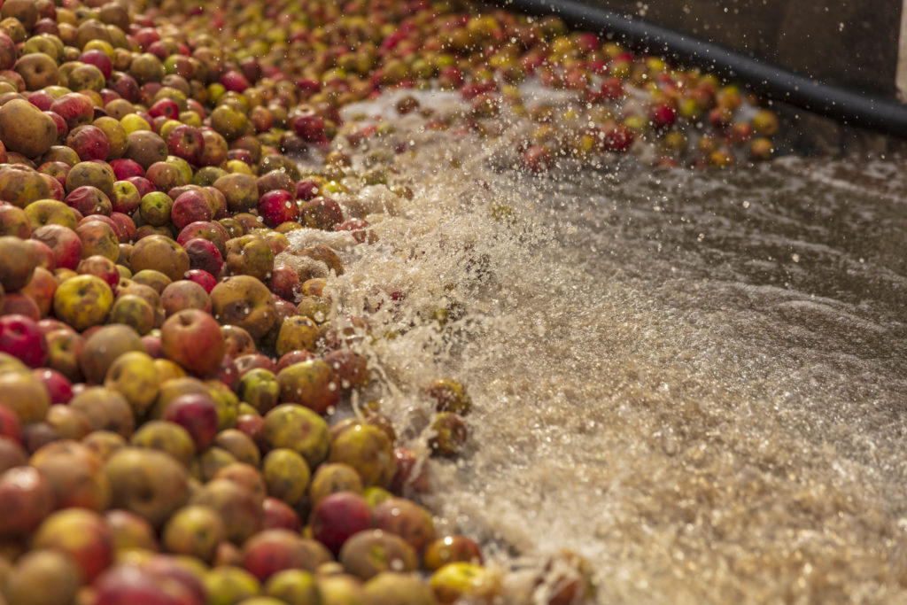 Comment faire du cidre, 6 étapes de fabrication du cidre Val de Rance