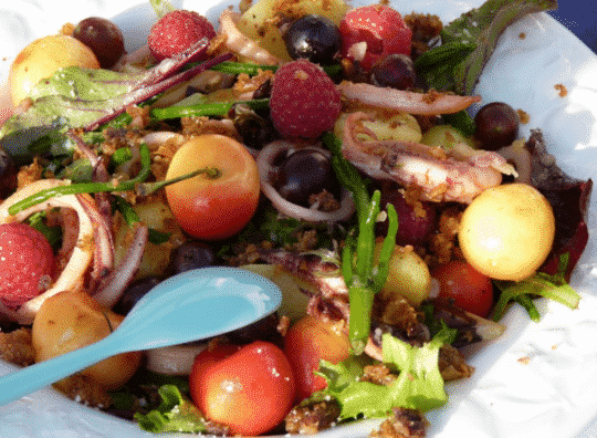 Salade d’encornets salicorne et cerises et cidre rosé Envies de...