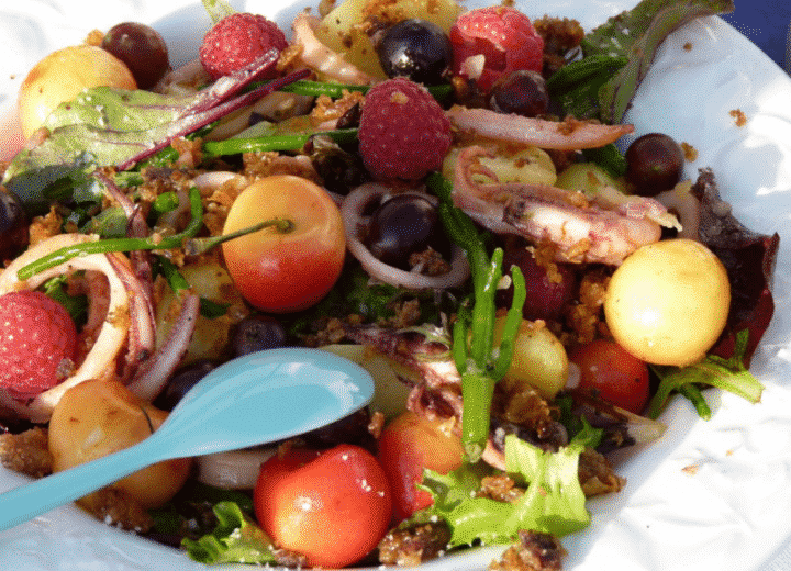 Salade d’encornets salicorne et cerises et cidre rosé Envies de...